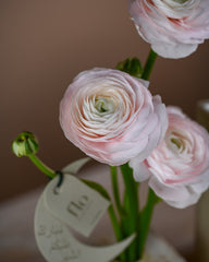 flo 1