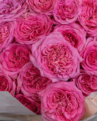 Ashly Bouquet