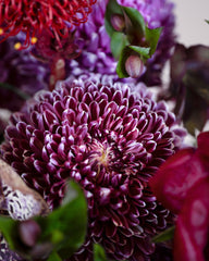 maroony