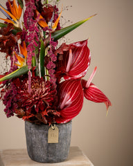Flora