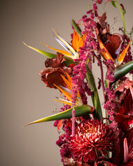 Flora