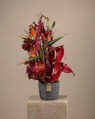 Flora