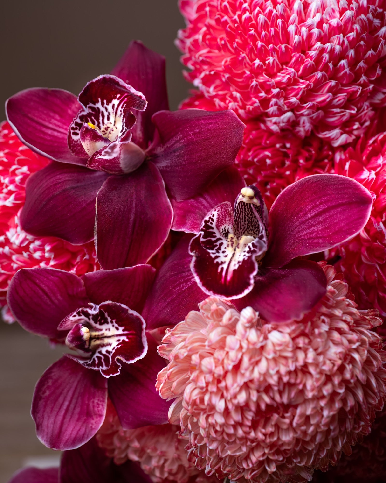 pinke