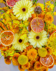 lemonne