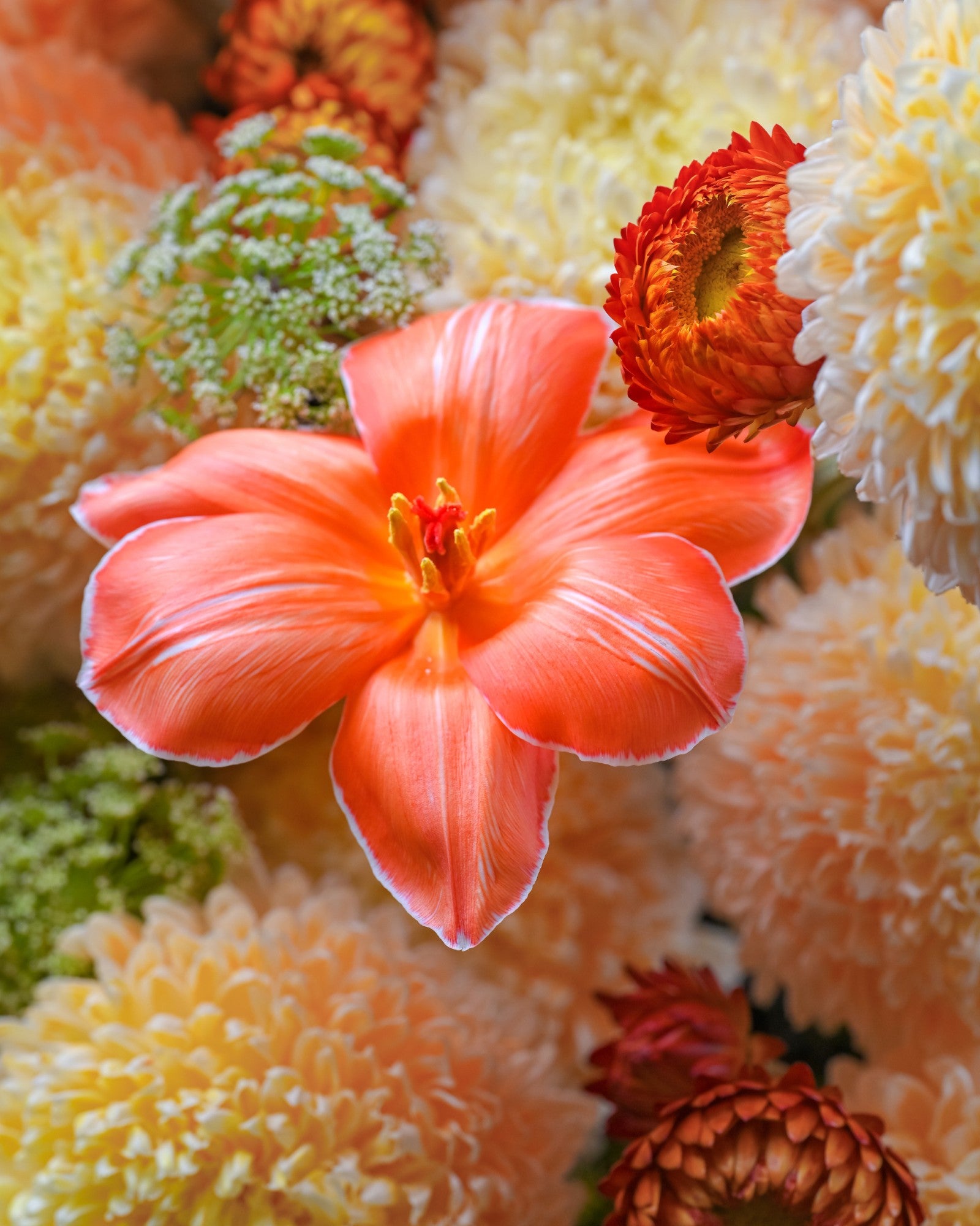 orangee