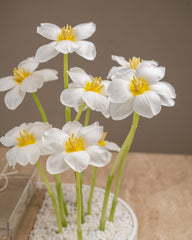 عاج